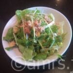 20120315_uno_nisisugamo_sarada