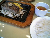 sengoku_hongou3_shl061008