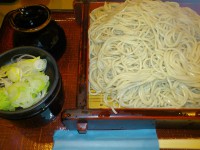 20130424_sarasina_kodenmatyo_oomori