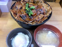 20130808_butadaigaku_sinbasi_butadondset