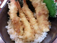 20130915_kurazusi_sidemenu_susiyanotendon