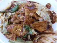 20140223_ousyo_hasimoto_jsmhoikourou