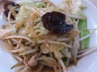 20140223_ousyo_hasimoto_jsmyasaiitame