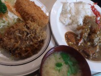 20140402_syedo_mitukosimae_dset