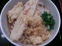 20140716_oniyanma_sinbasi_toritikuwabukaked