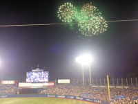 20140727_suzusyokuhin_jingukyujo_gogoswallows