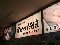 20140827_osakanorenmeguri_sinosaka_in