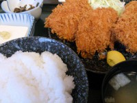 20141114_uoaki_housyakuji_hamukatu