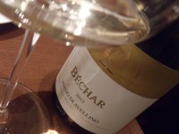 20141218_tavernagustavino_ginza1_becher2013