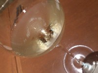 20141218_tavernagustavino_ginza1_champagne