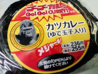 20150315_gogocurry_onigiri_katucurry