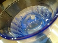 20150504_kurenai_kokubunji_water