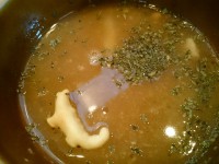 20150517_uma_seibutatikawa_soupwari