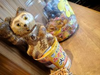 20150521_oosima_funabori_manekineko