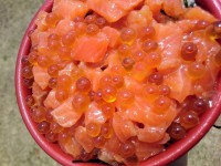 20150525_9bee_manpaku_torosalmonoyakod