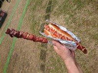 20150525_itsuraham_manpaku_hamuyakibutadog