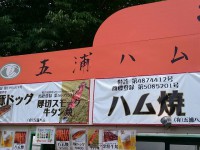 20150525_itsuraham_manpaku_in