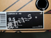leBron11_as_box