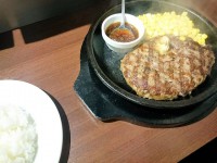 20150612_ikinaristeak_kanda_wildhamburg300g