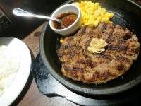 20150624_ikinaristeak_tokyo_wildhamburg