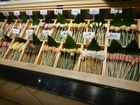 20150727_kusiyamongatari_musasihikida_kusi