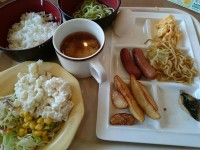 20150809_cocos_moningviking_dish1