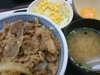 20151118_yosinoya_gyud_gyudasetnt