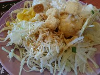 20160131_broncobilly_tamasakai_salada