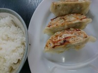 20160208_sakurajima_hatiouji_gyozarice