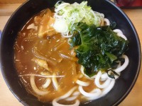 20160402_jinsoba_nisihatiouji_curryudon