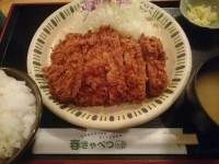 20160406_harukyabetu_hamamatutyo_tokutokusirloincutlet