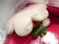 20160504_TDL_maihama_gloveshapechickenpao