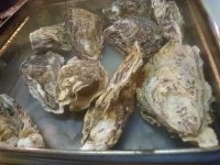 20160906_milkytetuofukuromati_fukuromati_ganganyaki