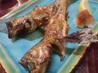 20160906_milkytetuofukuromati_fukuromati_hatahata