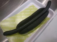 20160926_ikeatatikawa_takamatu_ninjadog