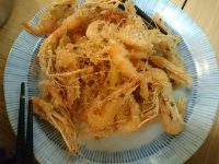 20161029_banpaiyazemususakaue_ooimati_rivershrimpfiy