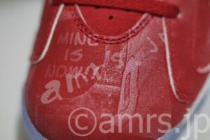 AIR JORDAN 6 RETRO X SLAM Point2 リフレクティブ塗料 その2