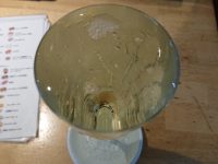 こぼれスパークリングワイン