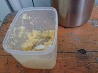 麺屋 豚道場＠大つけ麺博 美味しいラーメン集まりすぎ祭（東京都新宿区） セルフニンニク