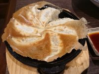 筑前屋 神田北口店＠東京都千代田区 鉄鍋餃子