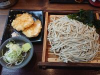 十割蕎麦 嵯峨谷(サガタニ) 浜松町店@東京都港区 おおもりそば とり天