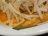  ラーメン雷 東京本丸店＠グランスタ東京（東京都千代田区） 雷味噌 ラーメン 麺