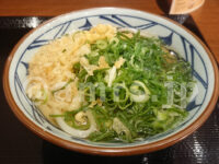 かけうどん・福袋＠丸亀製麺 ネギたぬきうどん