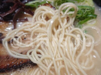 とんこつらーめん俺式 純 東京駅店＠東京ラーメンストリート（東京都千代田区） 麺