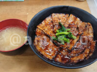 豚大学 新橋校舎@東京都港区 朝豚丼