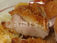 鳥良商店 有楽町日比谷店＠東京都千代田区 Wカツ定食 チキンカツ