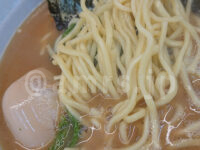 ラーメン 堀田家@東京都千代田区 朝ラー 朝らーめん 酒井製麺製のちぢれ中太麺