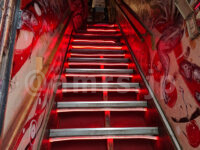 すごい煮干ラーメン凪 新宿ゴールデン街店 本館＠東京都新宿区 名物急な階段