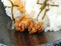 IEKEI TOKYO 王道家直系＠東京都千代田区 半チャーシューまぶし 無限ニンニク