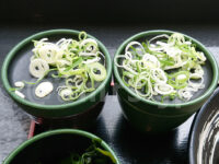 朝そば 玉子・大盛り＠ゆで太郎 そばつゆ2個 ネギ付き